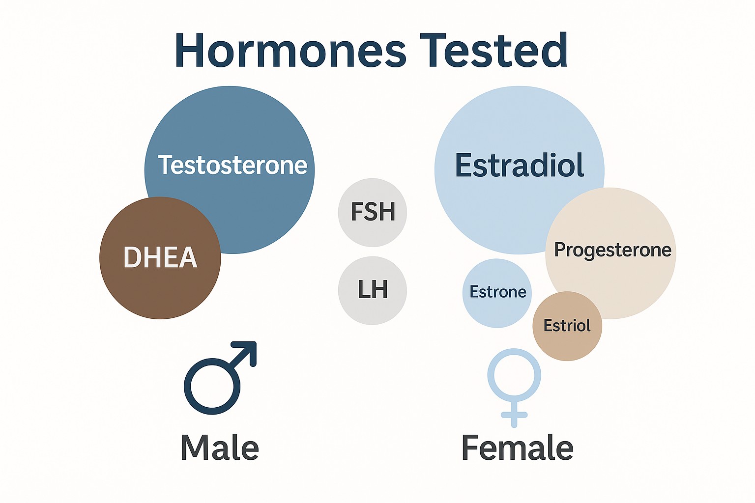 Infographic of male and female hormones tested including testosterone, estrogen, progesterone, DHEA, FSH, and LH